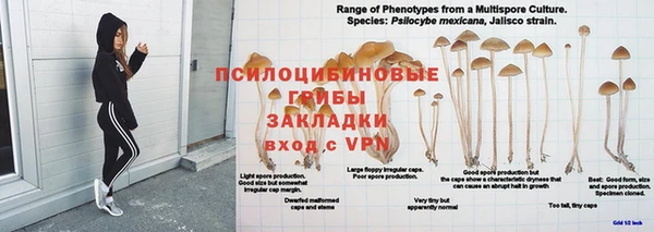 марки nbome Богданович