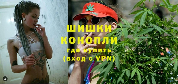 стафф Россошь