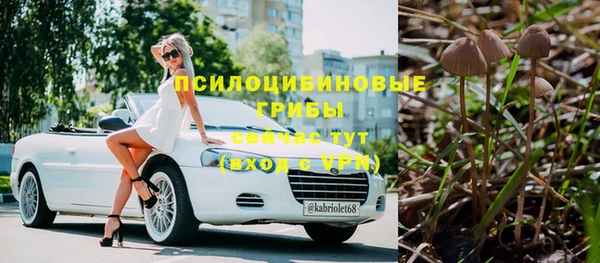 марки nbome Богданович