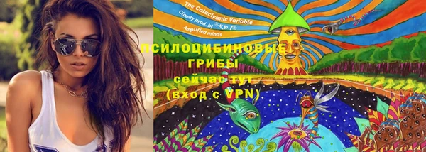 стафф Россошь
