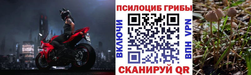 Псилоцибиновые грибы Psilocybe  omg ТОР  Волхов 