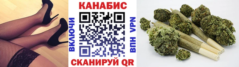 Шишки марихуана гибрид  Волхов 
